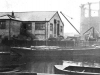Surrey Canal before it was filled in.