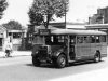 early nunhead coach