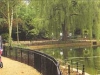 ryelake-f606ad454c8f94d81b8083ec8a2c2db4531becf0